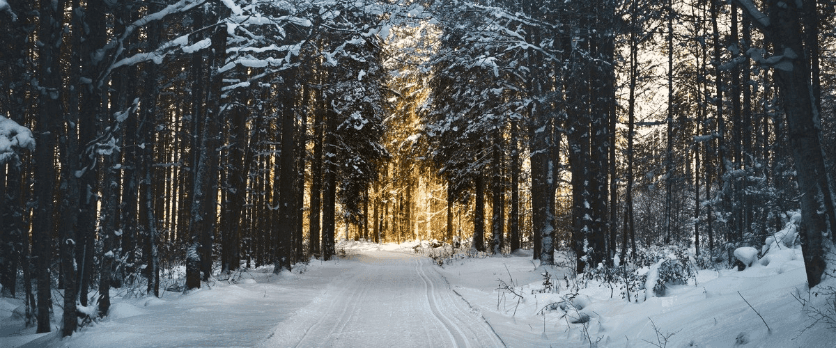 Winterklaar-1200