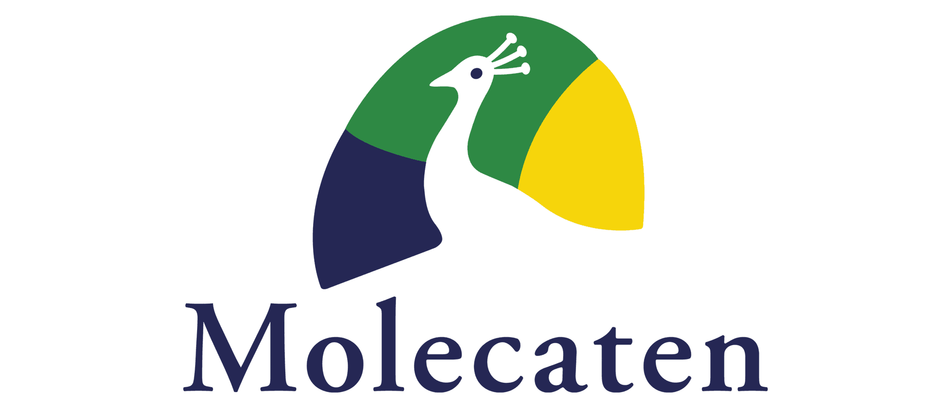 Molecaten Logo