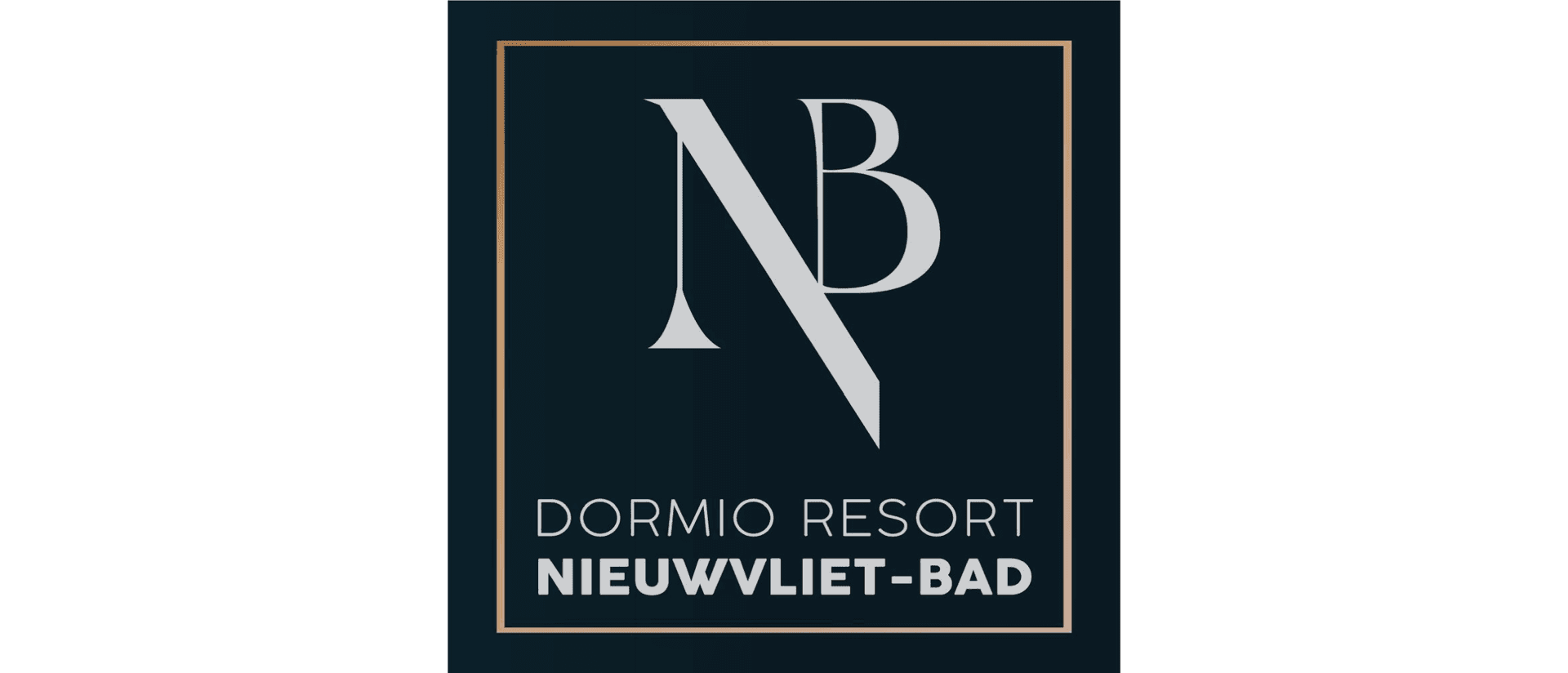 Dormio Resorts & Hotels Logo