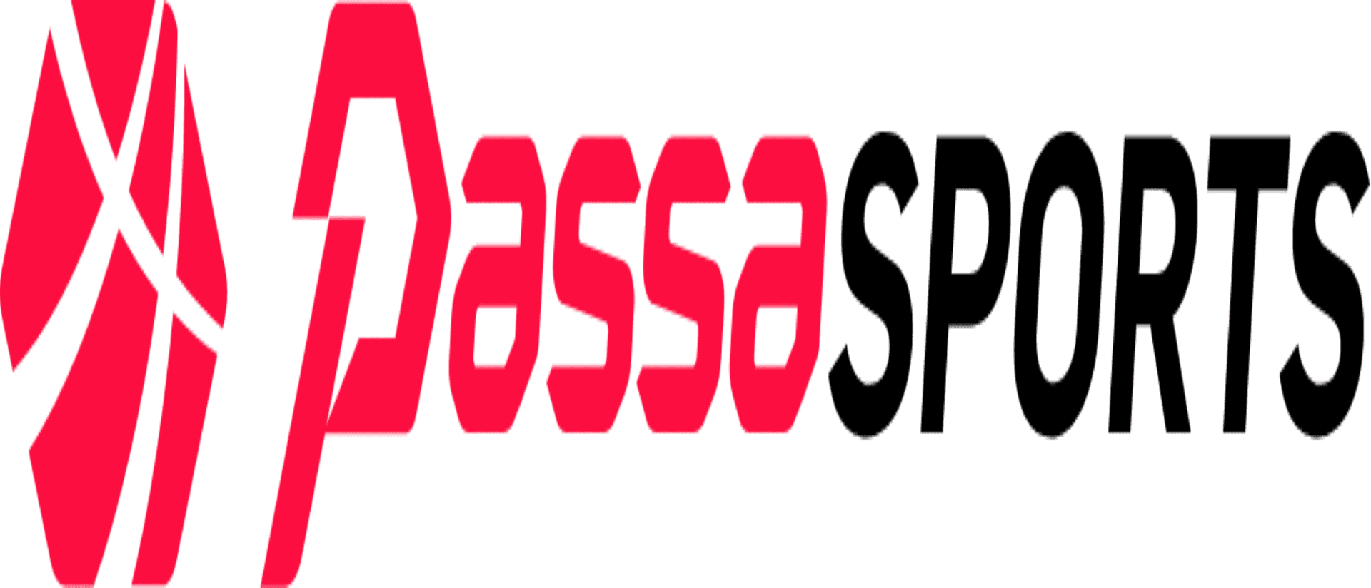 passasports.de Logo