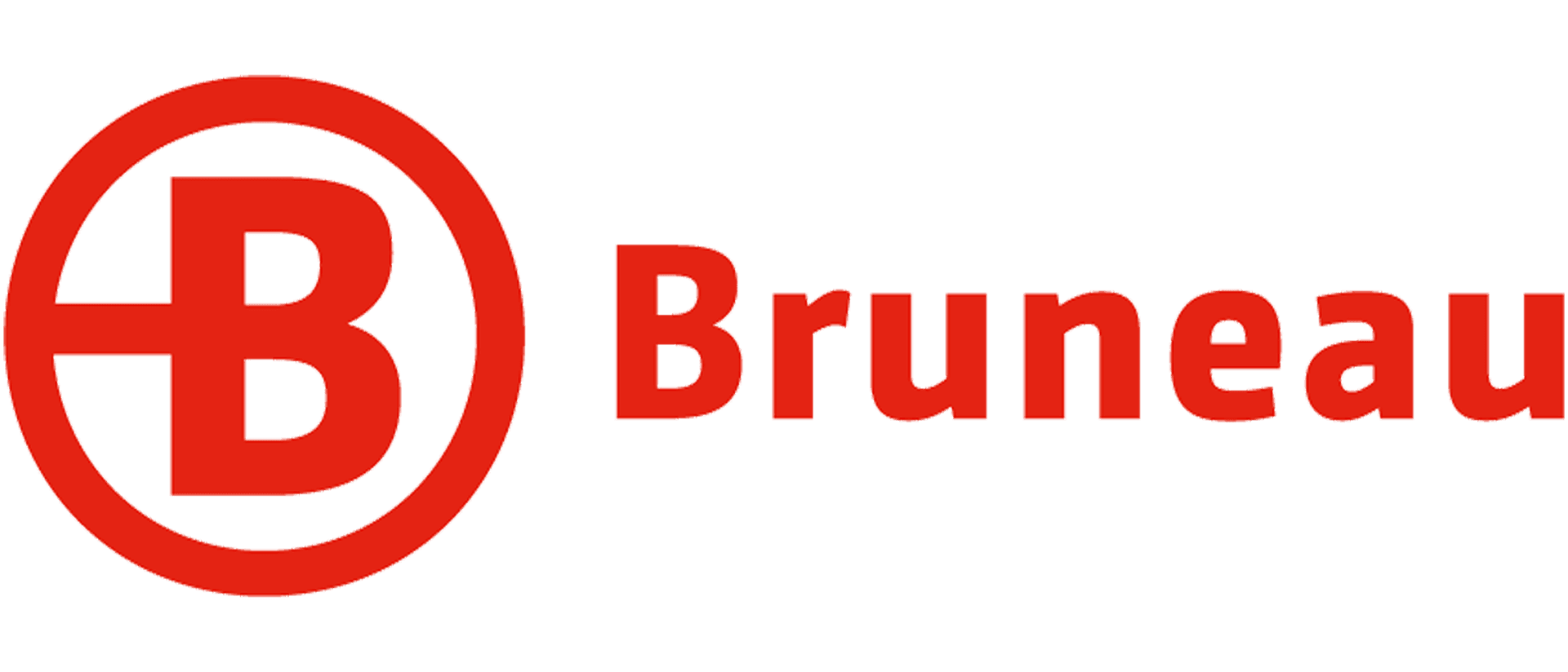 Logo de Bruneau.es