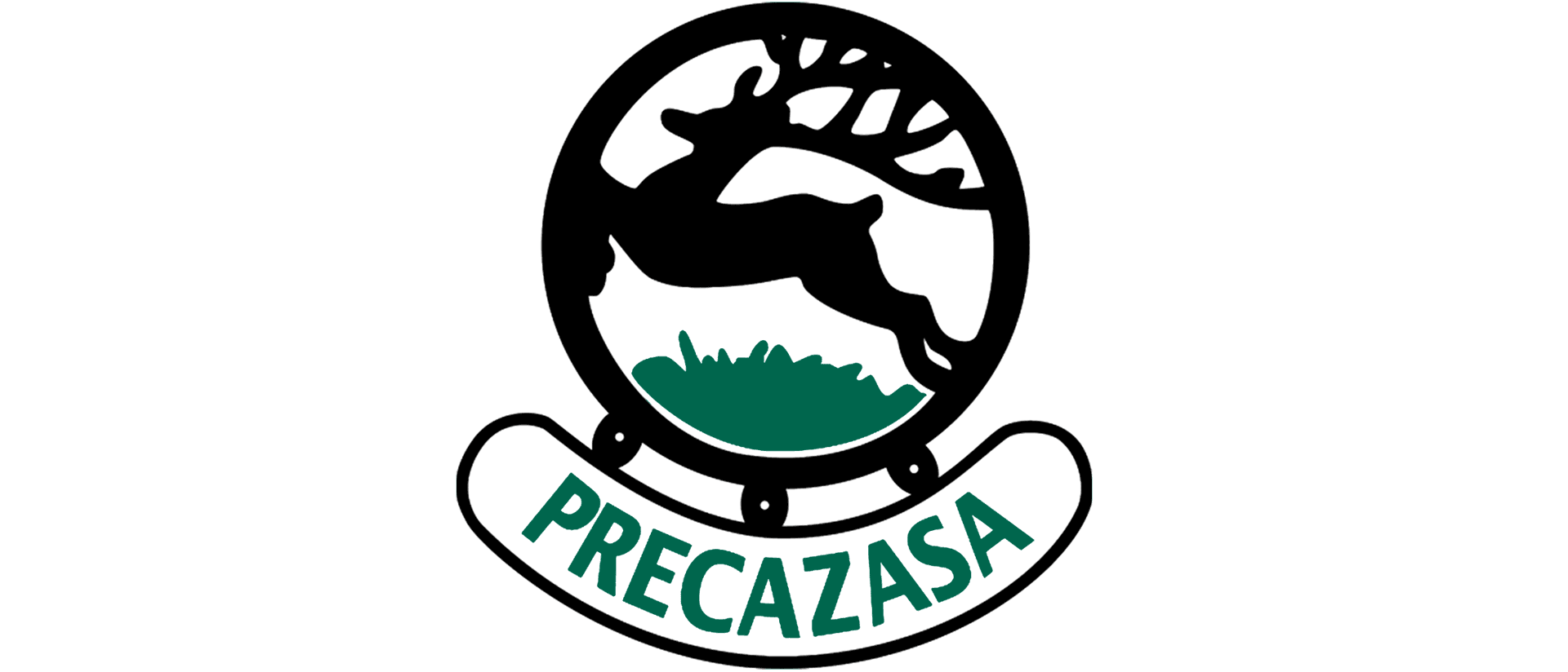 Logo de Precazasa