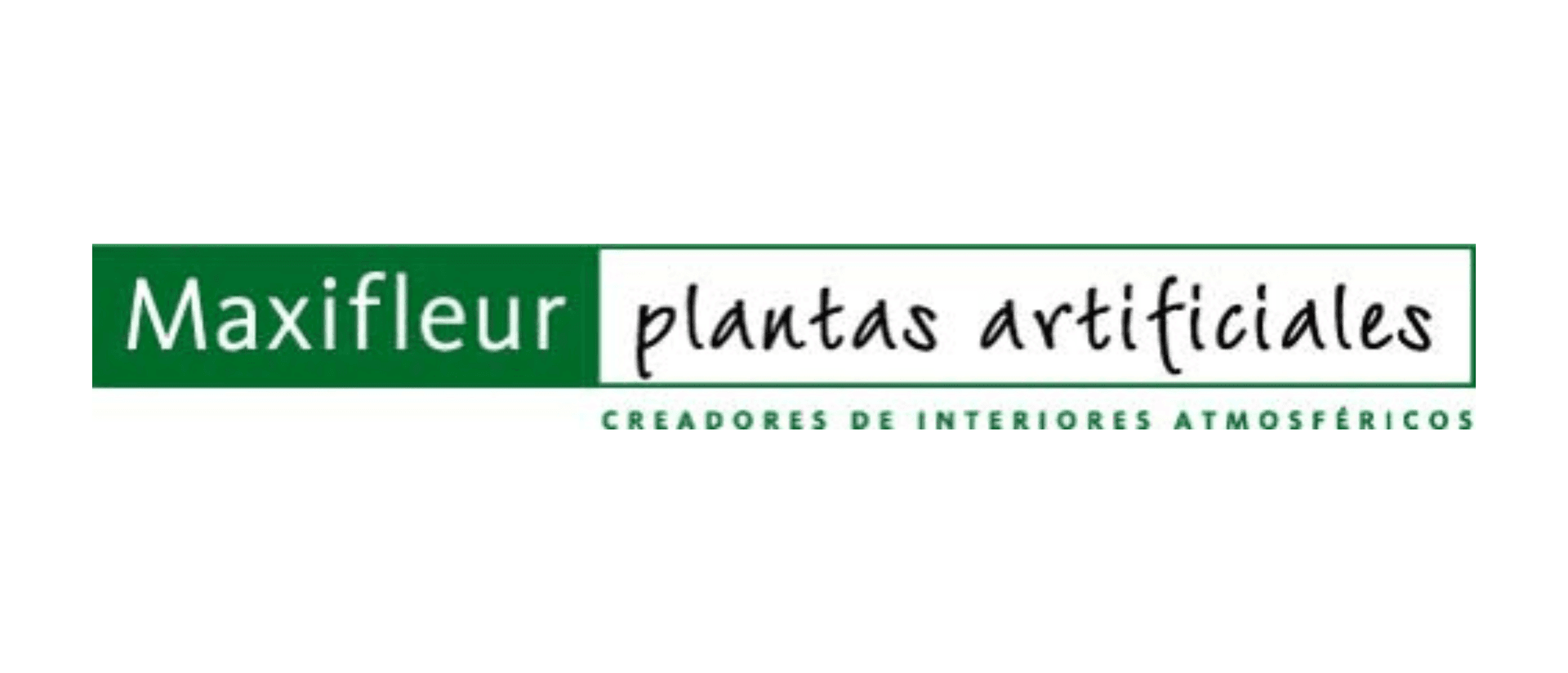 Logo de Maxifleur ES
