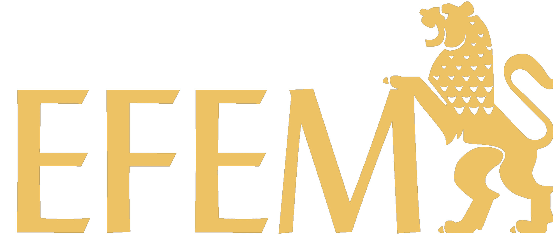 Logo de EFEM