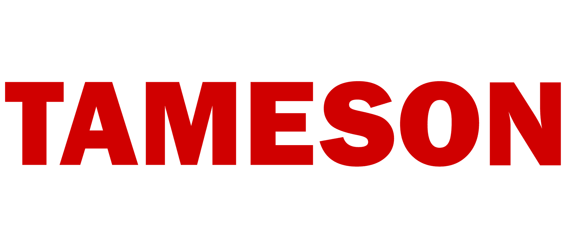 Logo Tameson FR