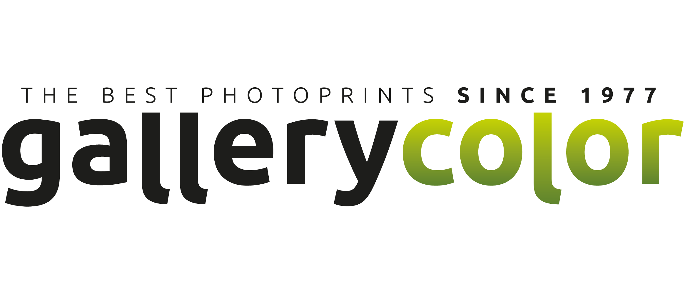 Gallerycolor.nl logo
