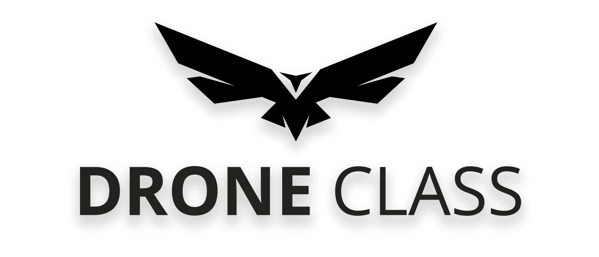 Eudronebewijs.nl logo