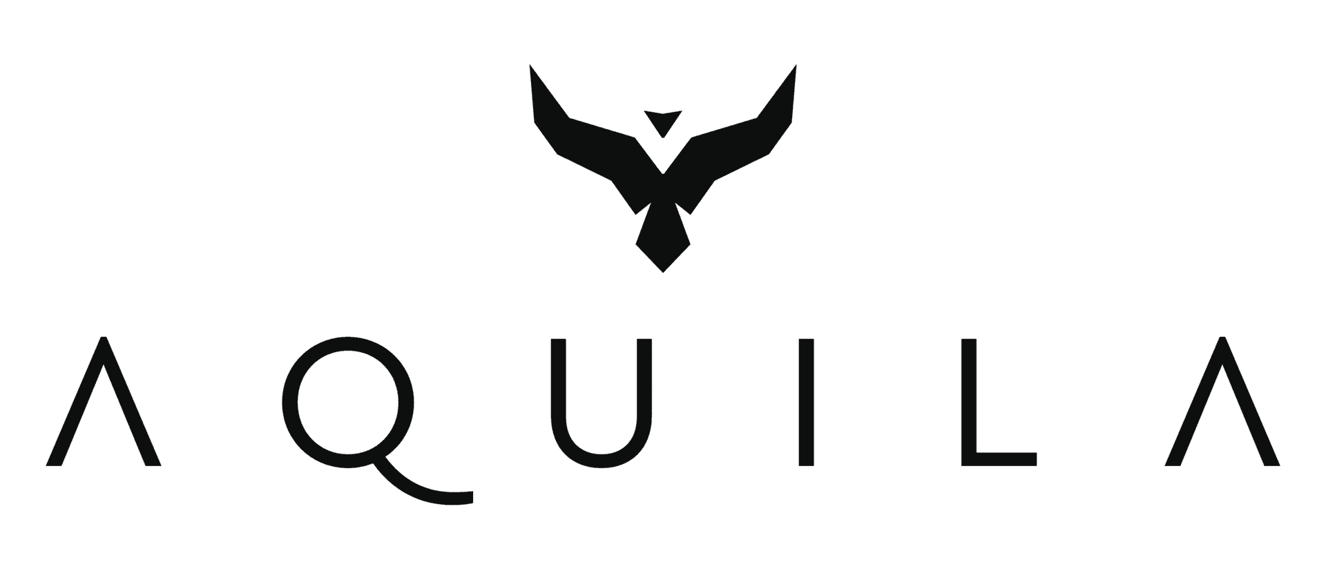 Aquilapro.nl logo