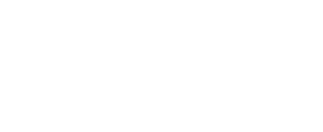 Snowplaza