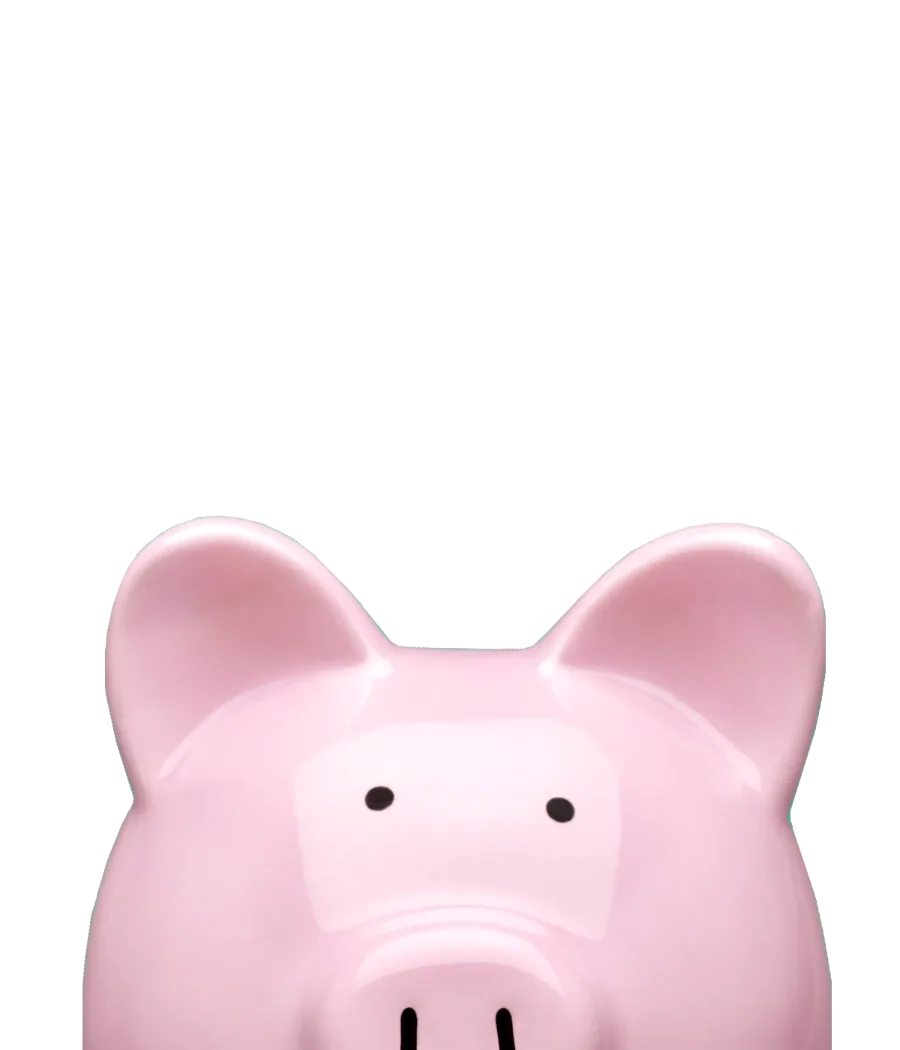 Officieel campagnebeeld bij een Bigbank-deposito