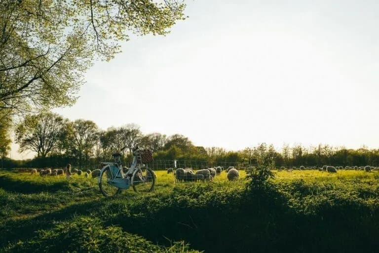 Groen landschap met bomen op een officieel beeld van om nieuwe energie