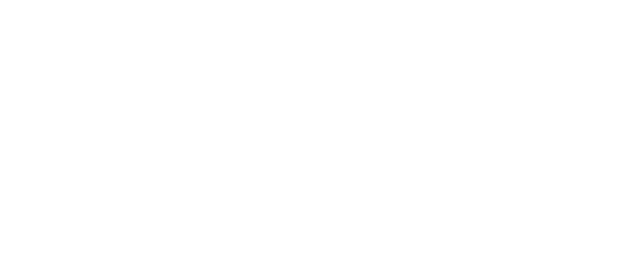 Snowplaza