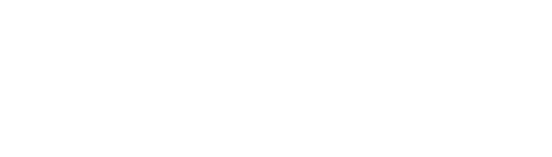Discoup