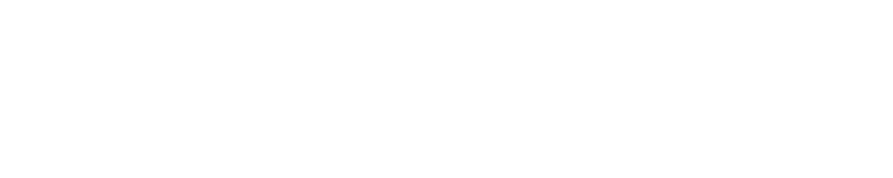 Bravo Promo