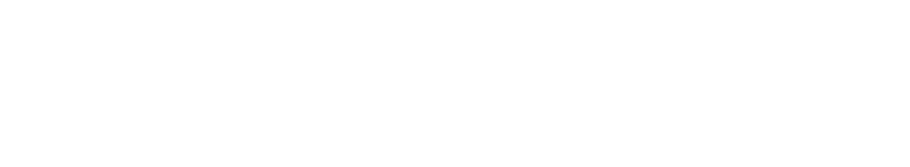 Ev Officiel Fond Orange
