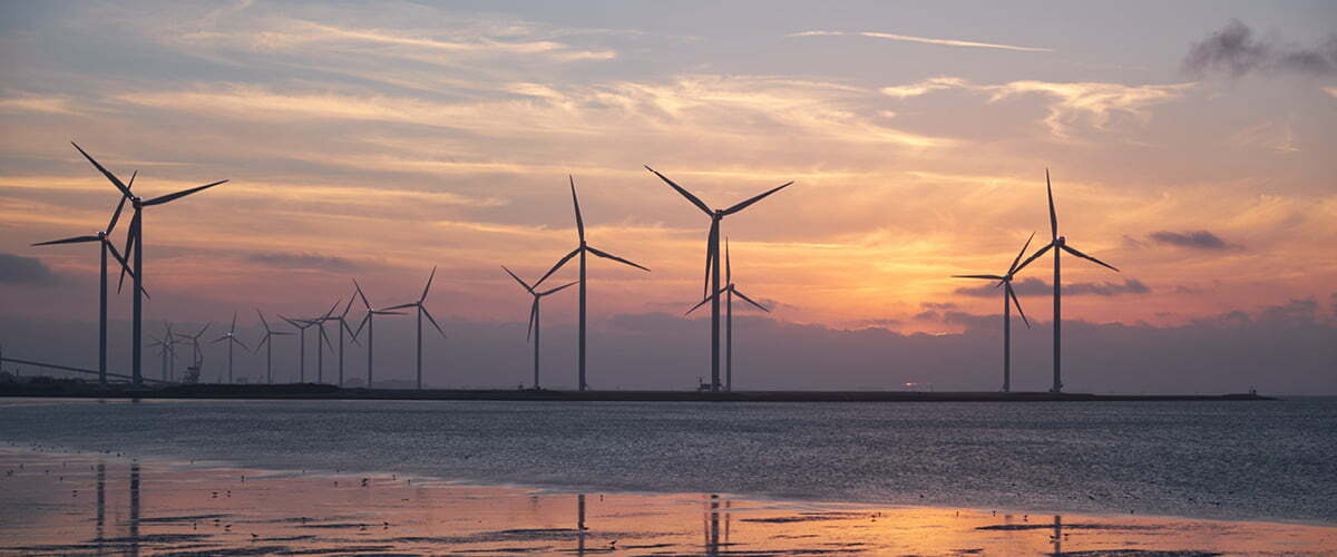 schone energie web