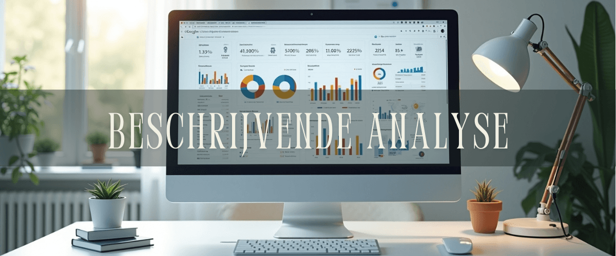 beschrijvende analyse