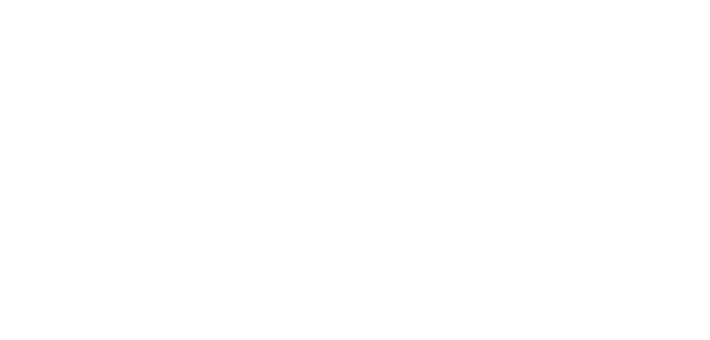 European Sleeper